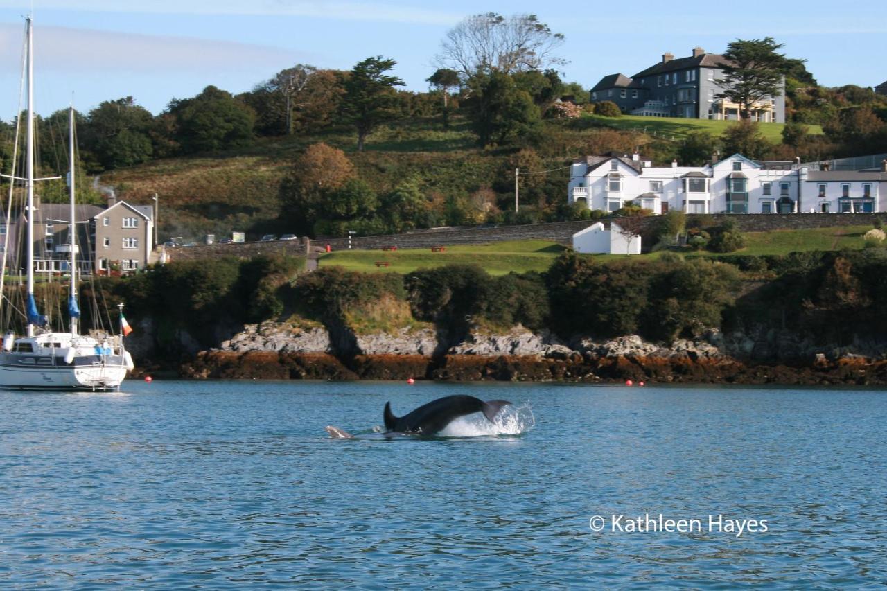 Bay View B&B Glandore Dış mekan fotoğraf