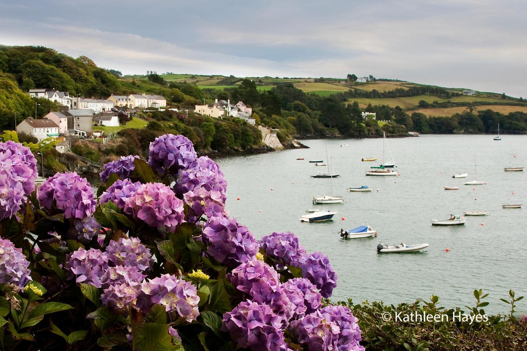 Bay View B&B Glandore Oda fotoğraf